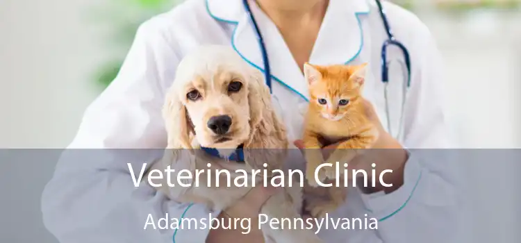 Veterinarian Clinic Adamsburg Pennsylvania