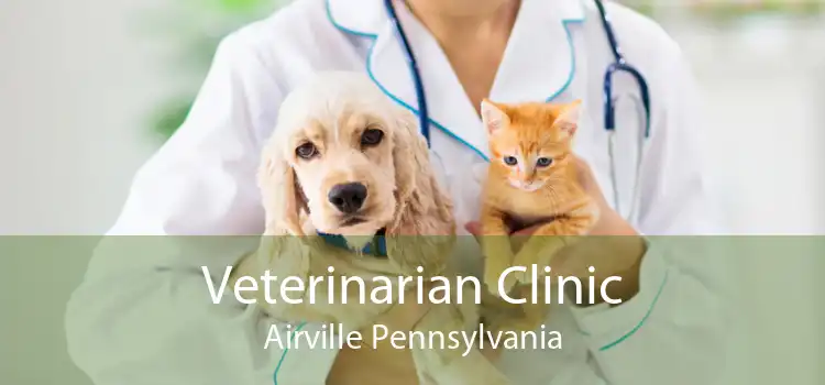 Veterinarian Clinic Airville Pennsylvania