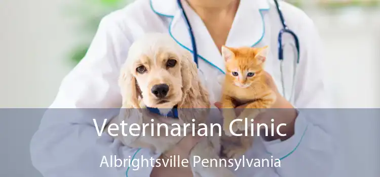 Veterinarian Clinic Albrightsville Pennsylvania