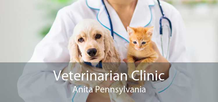 Veterinarian Clinic Anita Pennsylvania
