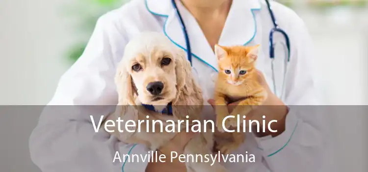 Veterinarian Clinic Annville Pennsylvania