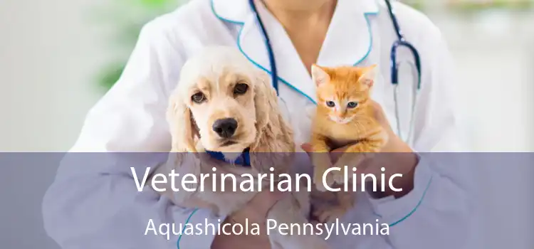 Veterinarian Clinic Aquashicola Pennsylvania