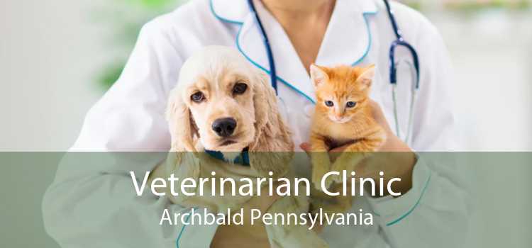 Veterinarian Clinic Archbald Pennsylvania