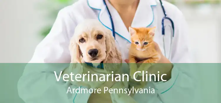 Veterinarian Clinic Ardmore Pennsylvania