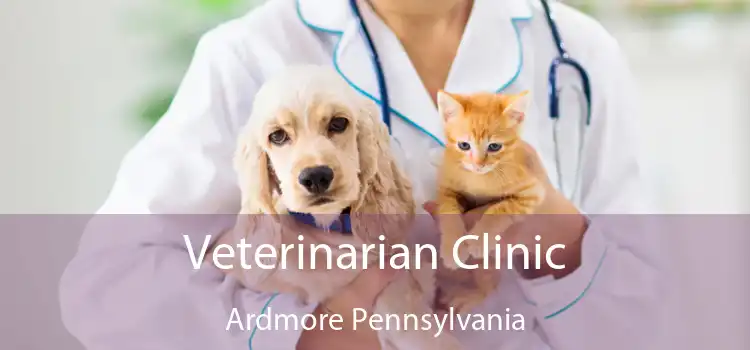 Veterinarian Clinic Ardmore Pennsylvania