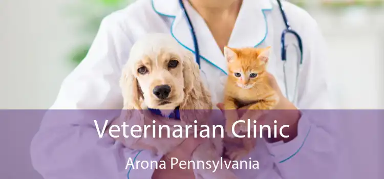 Veterinarian Clinic Arona Pennsylvania