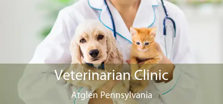 Veterinarian Clinic Atglen Pennsylvania