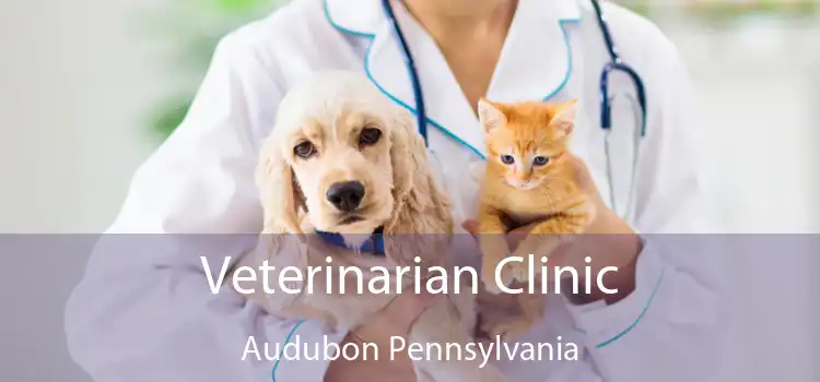 Veterinarian Clinic Audubon Pennsylvania