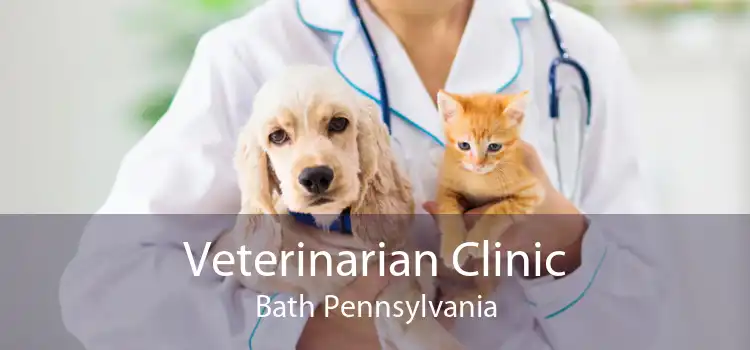 Veterinarian Clinic Bath Pennsylvania