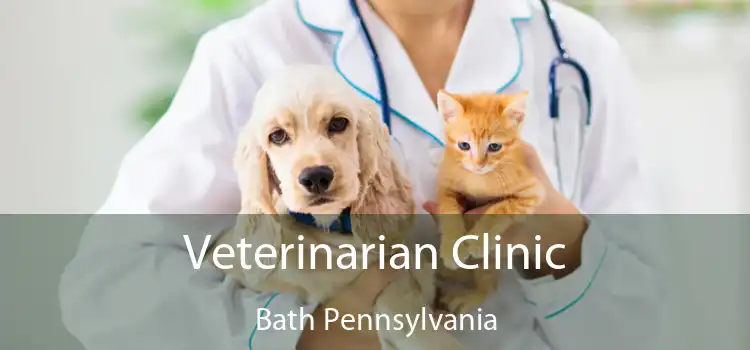 Veterinarian Clinic Bath Pennsylvania