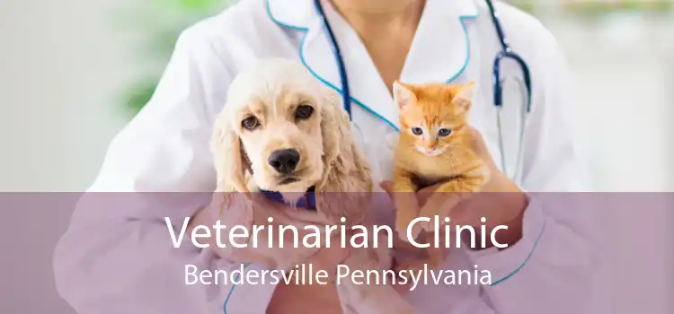 Veterinarian Clinic Bendersville Pennsylvania