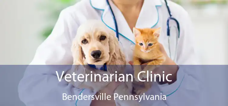 Veterinarian Clinic Bendersville Pennsylvania