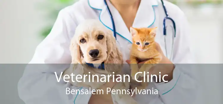 Veterinarian Clinic Bensalem Pennsylvania