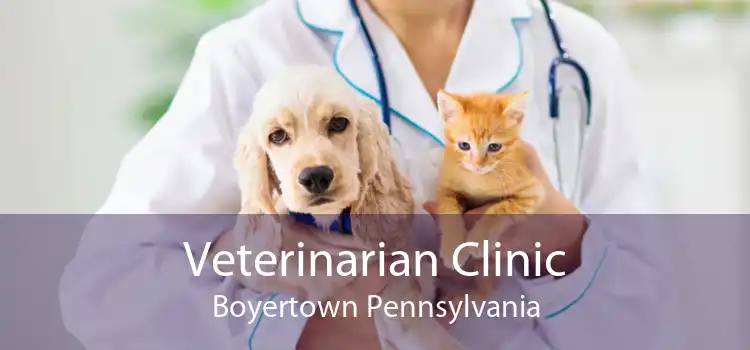 Veterinarian Clinic Boyertown Pennsylvania