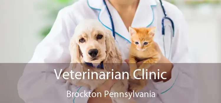 Veterinarian Clinic Brockton Pennsylvania