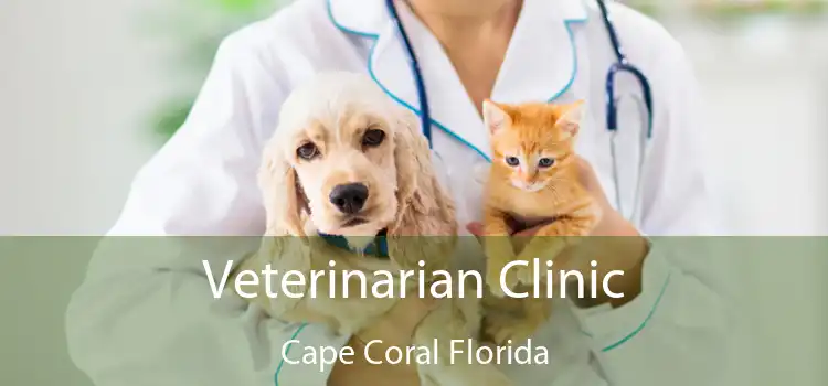 Veterinarian Clinic Cape Coral Florida