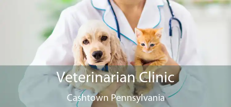 Veterinarian Clinic Cashtown Pennsylvania