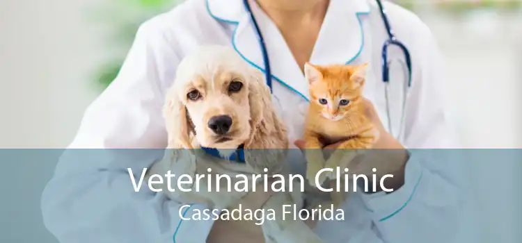 Veterinarian Clinic Cassadaga Florida
