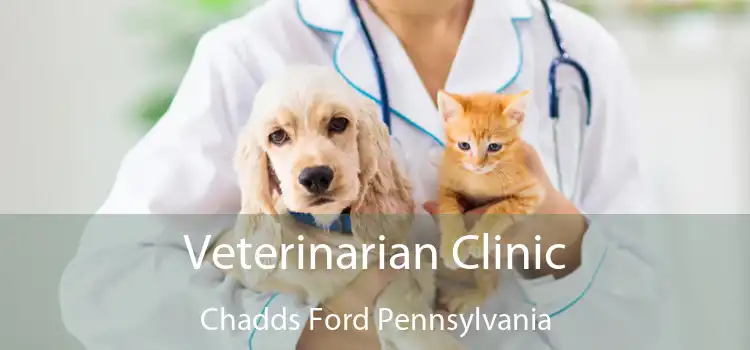 Veterinarian Clinic Chadds Ford Pennsylvania