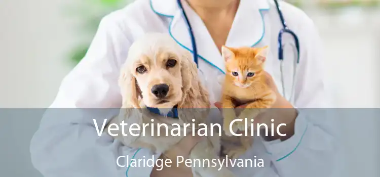 Veterinarian Clinic Claridge Pennsylvania