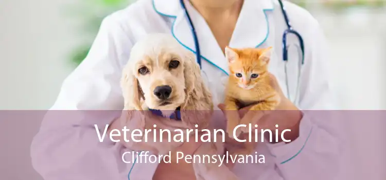 Veterinarian Clinic Clifford Pennsylvania