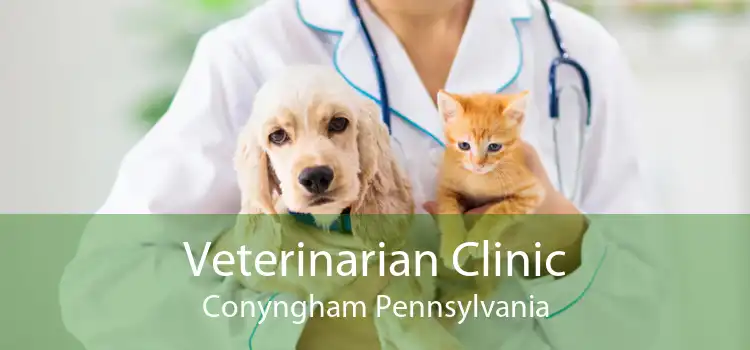 Veterinarian Clinic Conyngham Pennsylvania