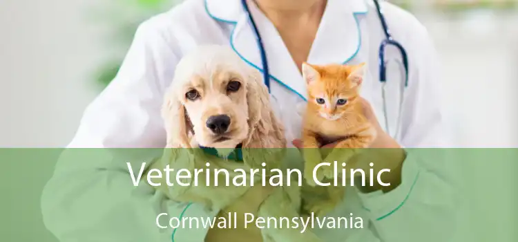 Veterinarian Clinic Cornwall Pennsylvania