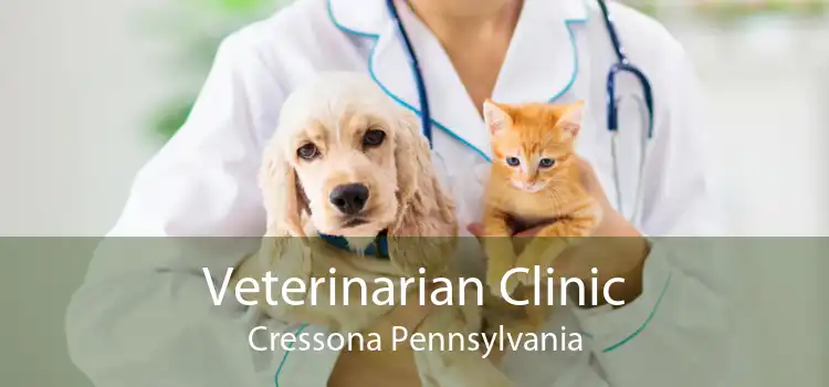 Veterinarian Clinic Cressona Pennsylvania