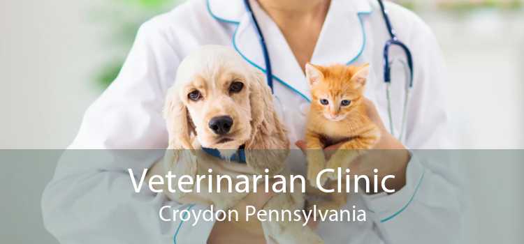 Veterinarian Clinic Croydon Pennsylvania
