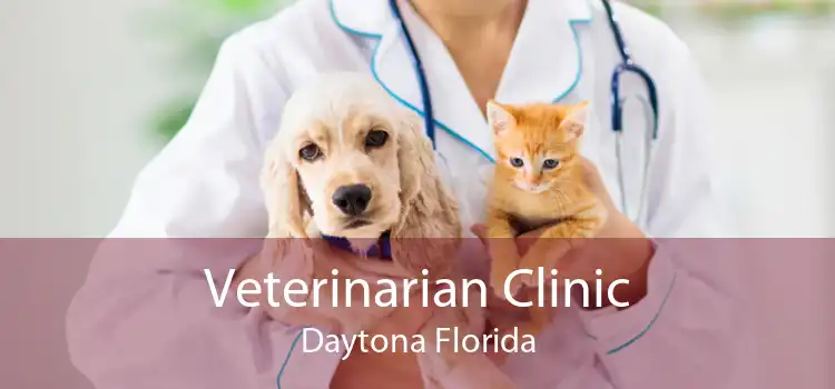 Veterinarian Clinic Daytona Florida