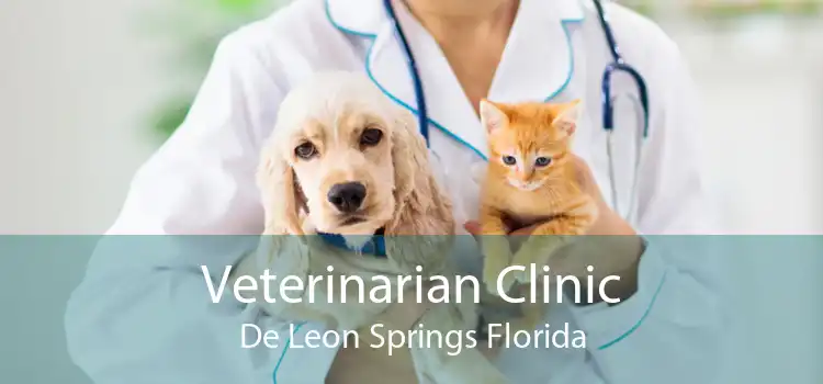 Veterinarian Clinic De Leon Springs Florida