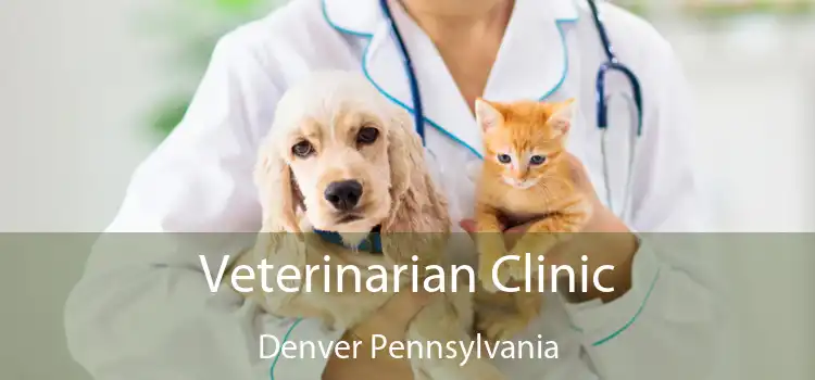 Veterinarian Clinic Denver Pennsylvania