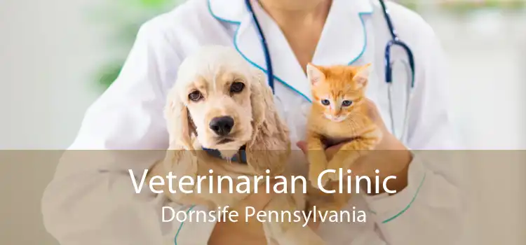 Veterinarian Clinic Dornsife Pennsylvania