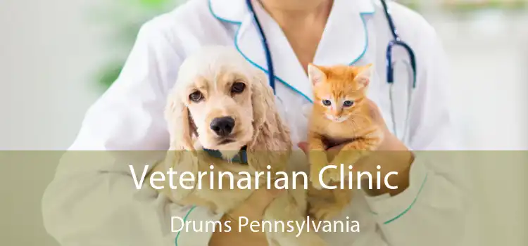 Veterinarian Clinic Drums Pennsylvania