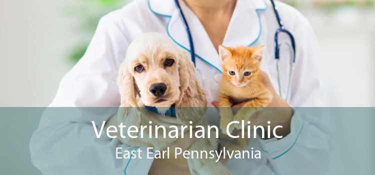 Veterinarian Clinic East Earl Pennsylvania