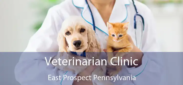 Veterinarian Clinic East Prospect Pennsylvania