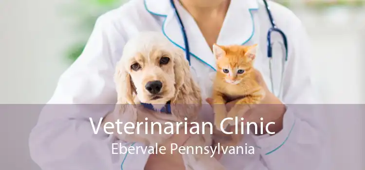 Veterinarian Clinic Ebervale Pennsylvania