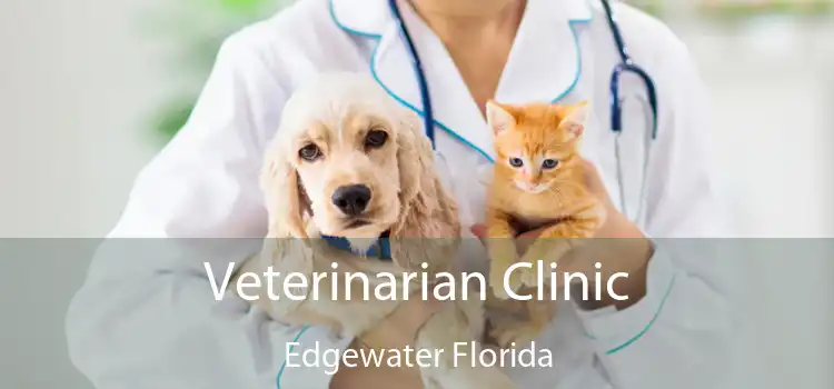 Veterinarian Clinic Edgewater Florida