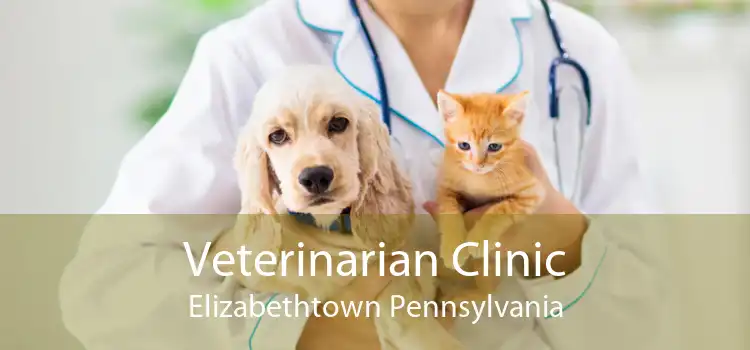 Veterinarian Clinic Elizabethtown Pennsylvania