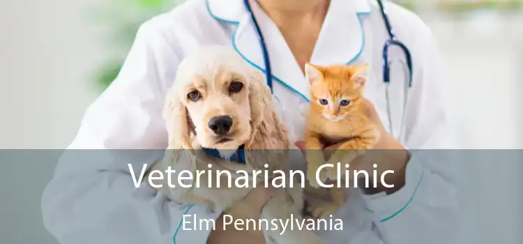 Veterinarian Clinic Elm Pennsylvania