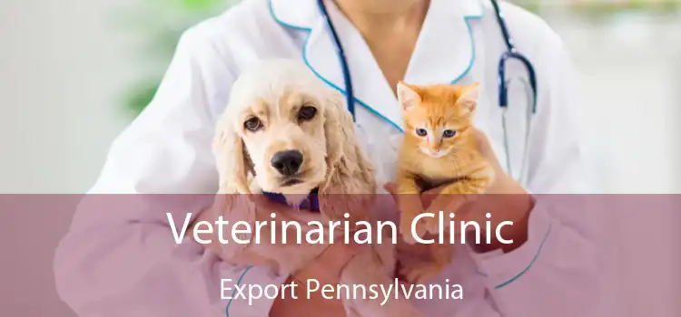 Veterinarian Clinic Export Pennsylvania