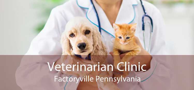 Veterinarian Clinic Factoryville Pennsylvania