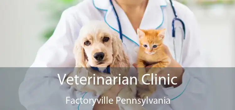 Veterinarian Clinic Factoryville Pennsylvania