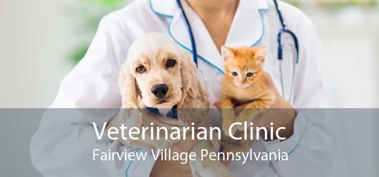 Veterinarian Clinic Fairview Village Pennsylvania