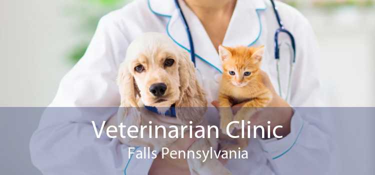 Veterinarian Clinic Falls Pennsylvania