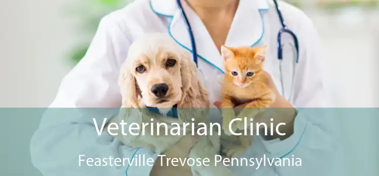 Veterinarian Clinic Feasterville Trevose Pennsylvania