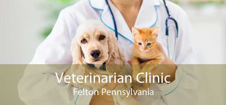 Veterinarian Clinic Felton Pennsylvania