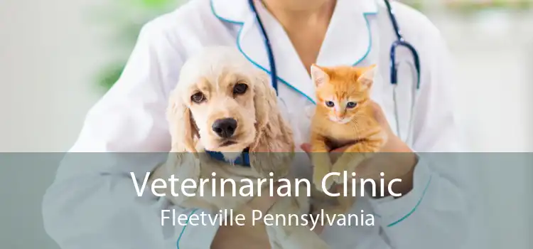 Veterinarian Clinic Fleetville Pennsylvania