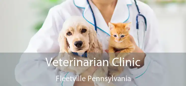 Veterinarian Clinic Fleetville Pennsylvania