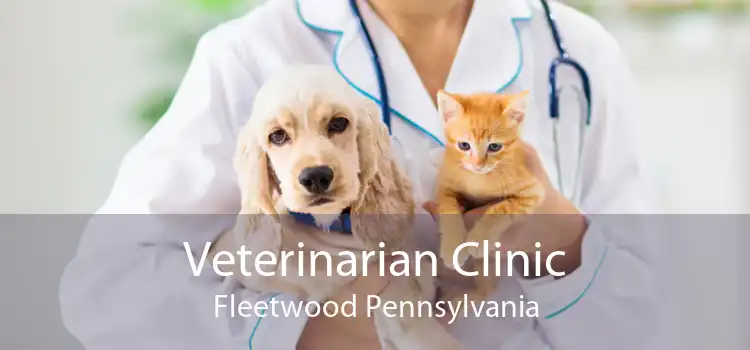 Veterinarian Clinic Fleetwood Pennsylvania